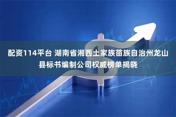 配资114平台 湖南省湘西土家族苗族自治州龙山县标书编制公司权威榜单揭晓