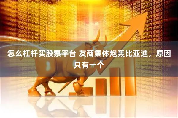 怎么杠杆买股票平台 友商集体炮轰比亚迪，原因只有一个